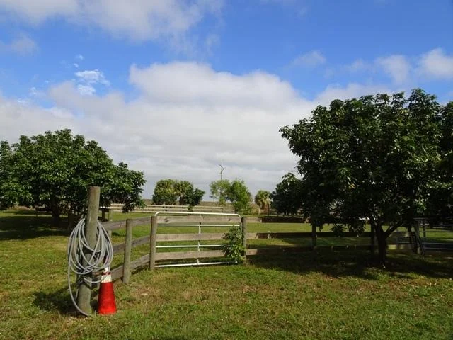 Photo of 16493 Rustic Road