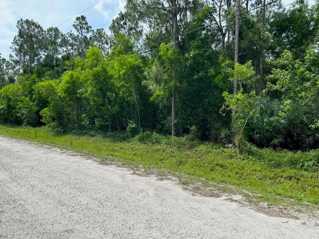 Photo of Xx 87 Street N