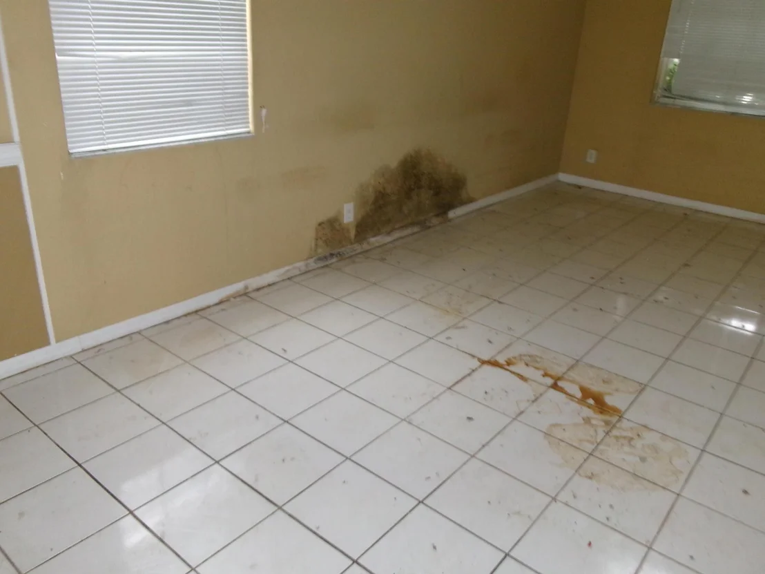 Photo of 149 Cameron Drive