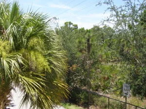 Photo of Unit 202 at 127 Seagrape Drive