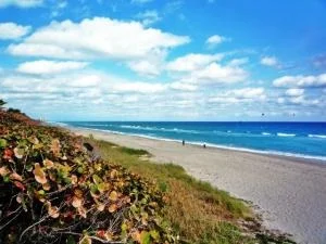 Photo of 804 W Apix Circle
