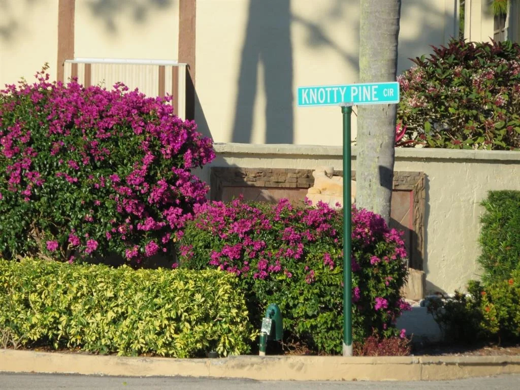 Photo of Unit D1 at 313 Knotty Pine Circle