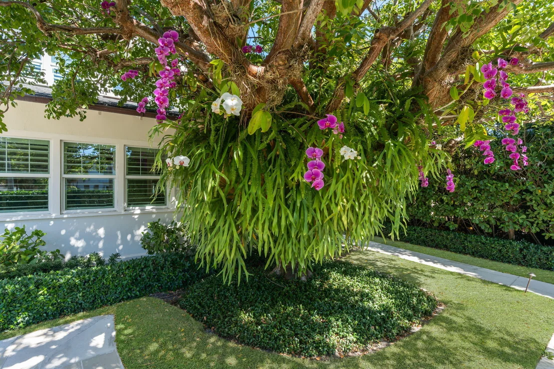 Photo of 159 Australian Avenue