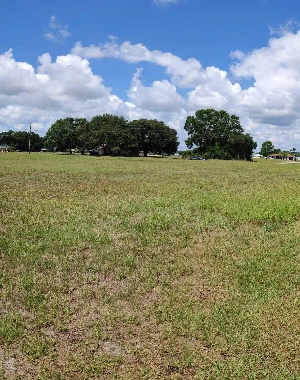 Photo of 225 Monte Real Boulevard