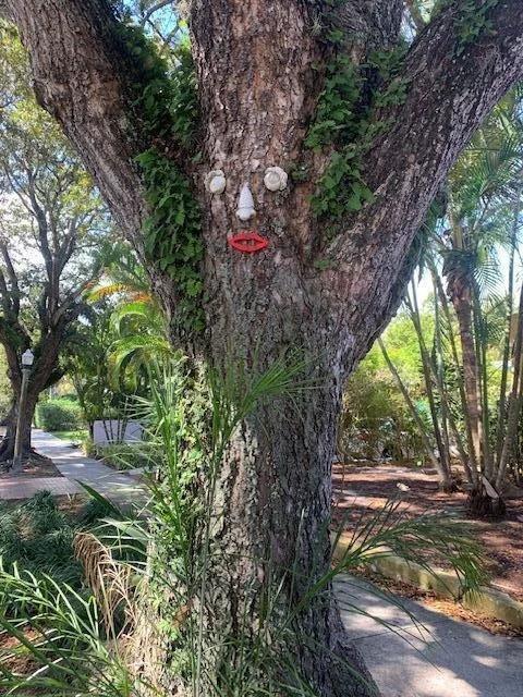 Photo of 805 Sunset Road