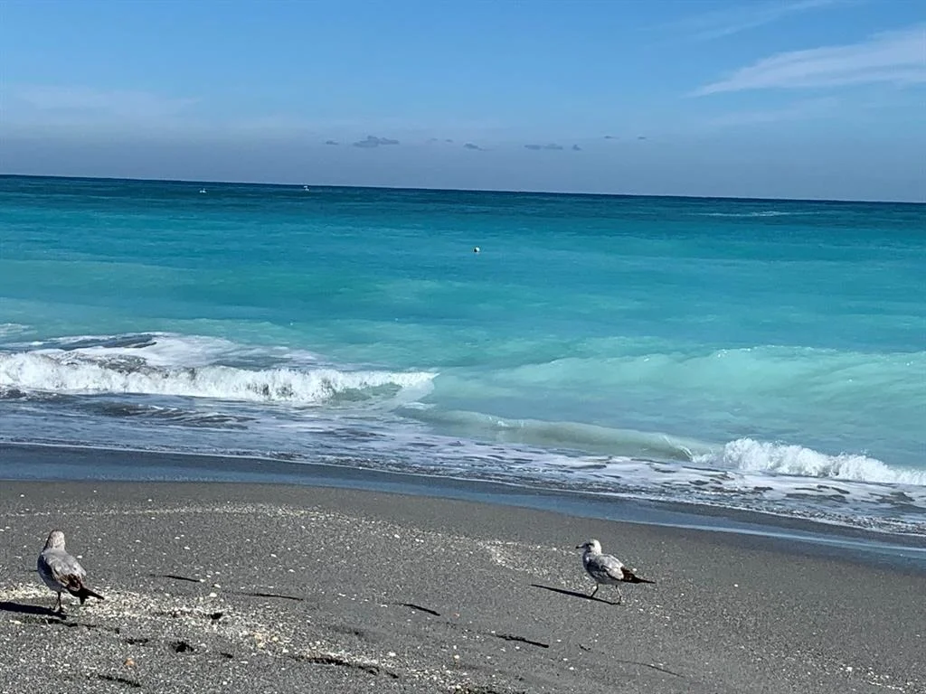 Photo of Unit 79 at 400 N Highway A1a