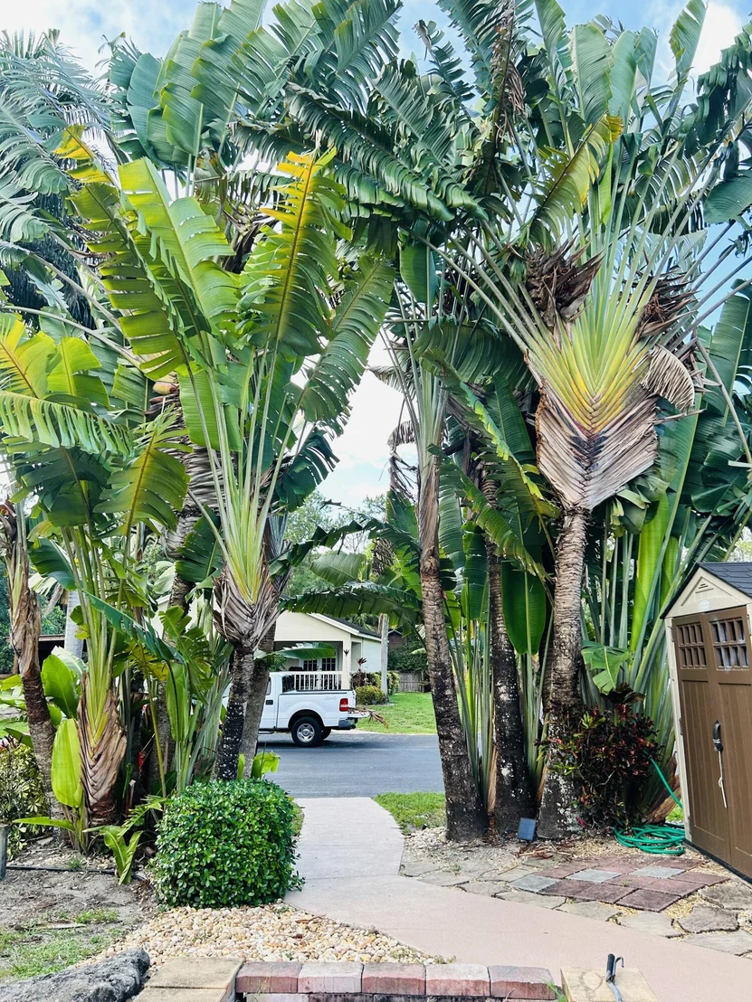Photo of 16687 N 115th Avenue N