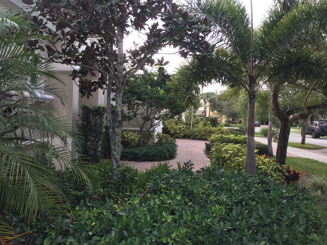Photo of 171 Magnolia Way