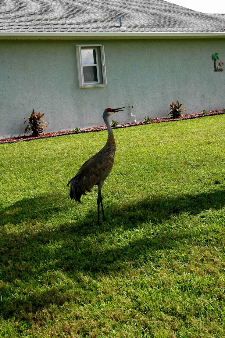 Photo of 6659 NW Picante Circle