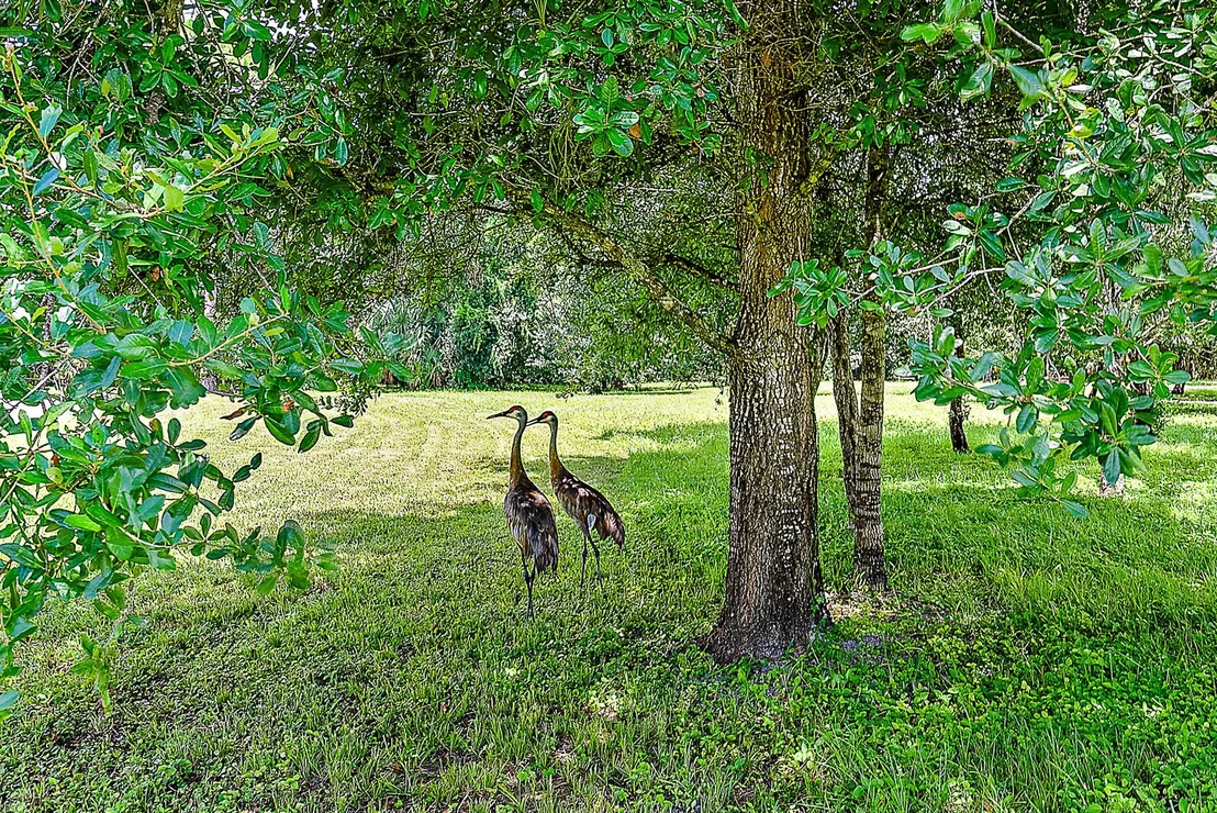 Photo of 10080 Calabrese Trail