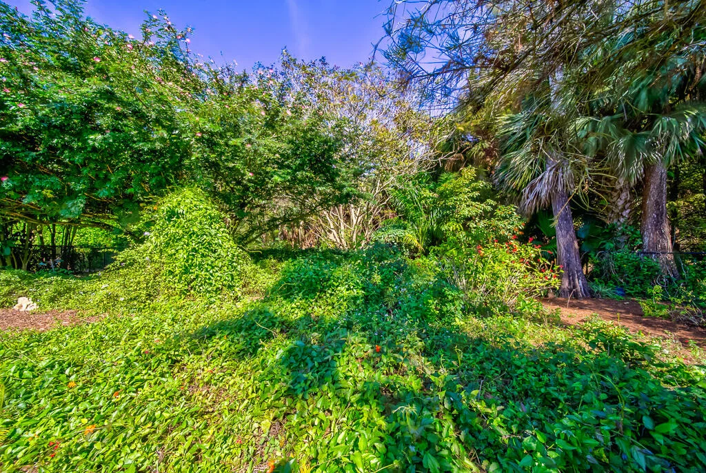 Photo of 4535 Hunting Trail