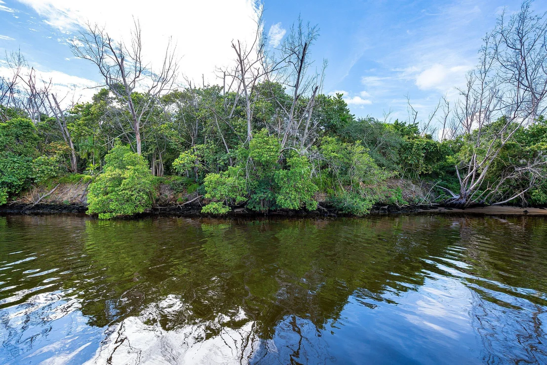 Photo of 348 E Alexander Palm Road