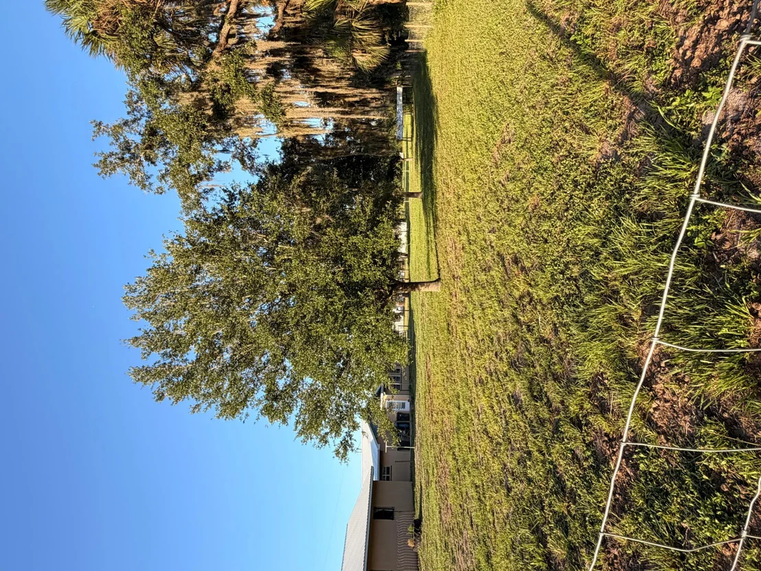 Photo of 31200 Us-441