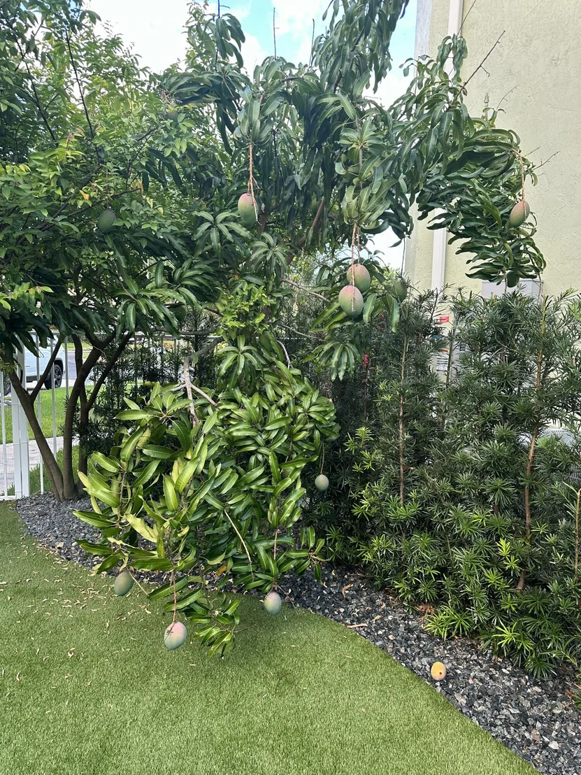 Photo of 4883 N Classical Boulevard