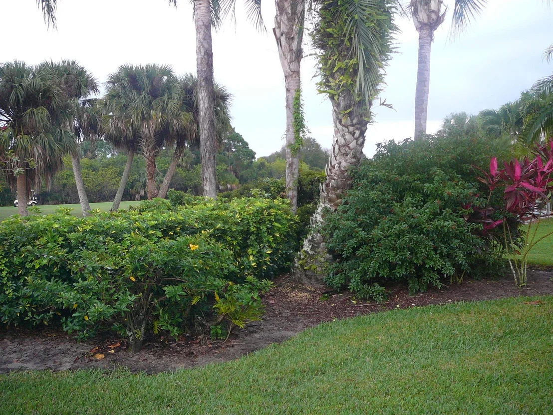 Photo of 4336 Gator Trace Circle