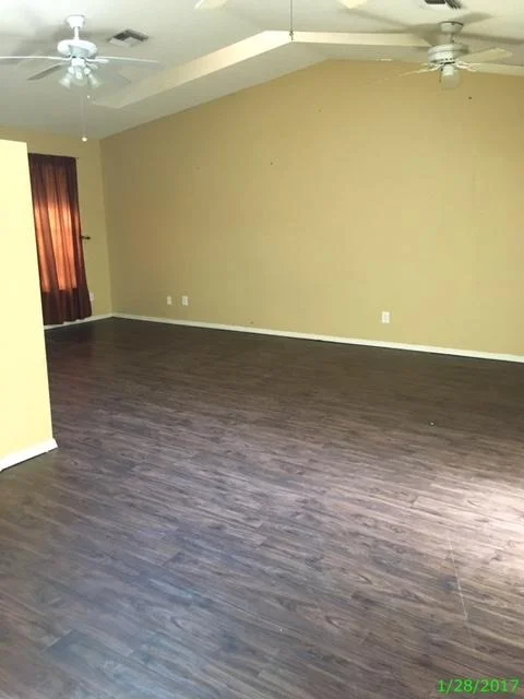 Photo of 4835 Mango