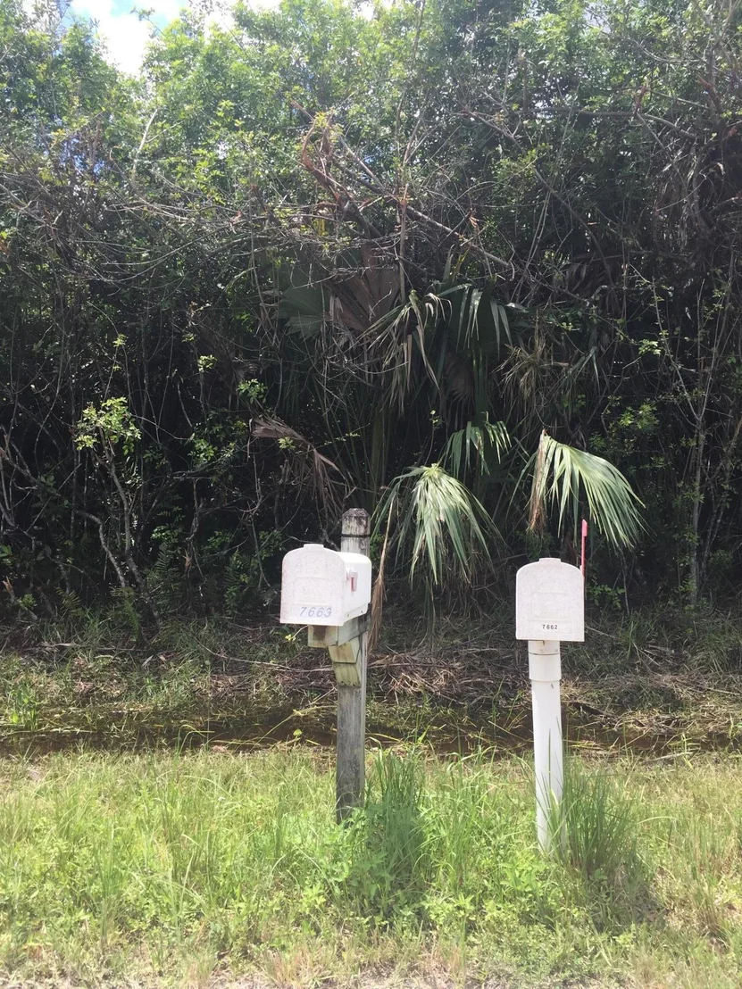 Photo of 00 76 Trail N