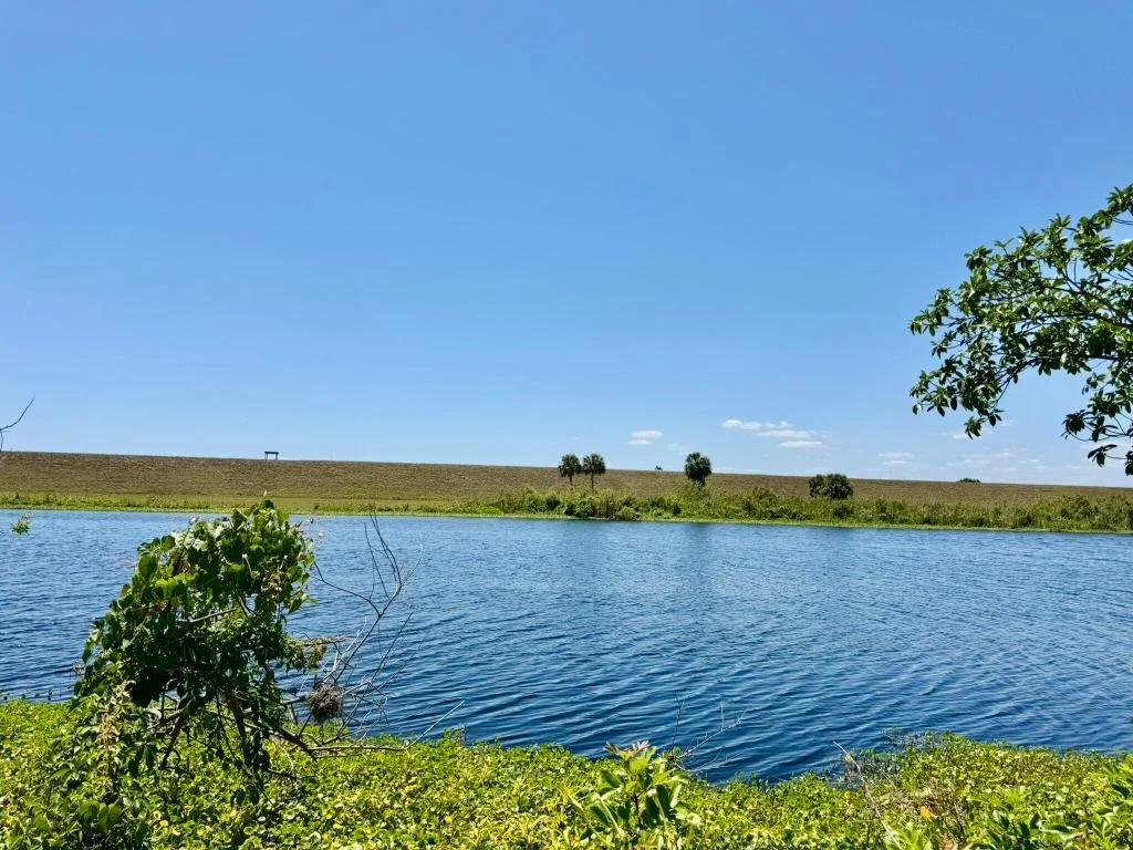 Photo of 13200 SE Us Highway 441