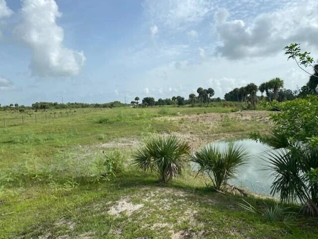 Photo of 1172 Cabbage Drive