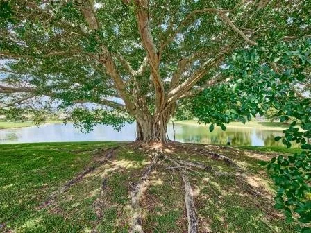 Photo of 20777 Pinar Trail
