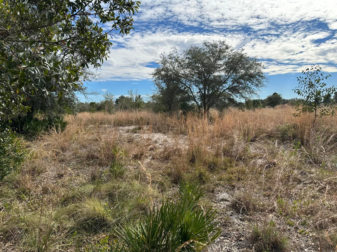 Photo of 15322 NW 252nd Street