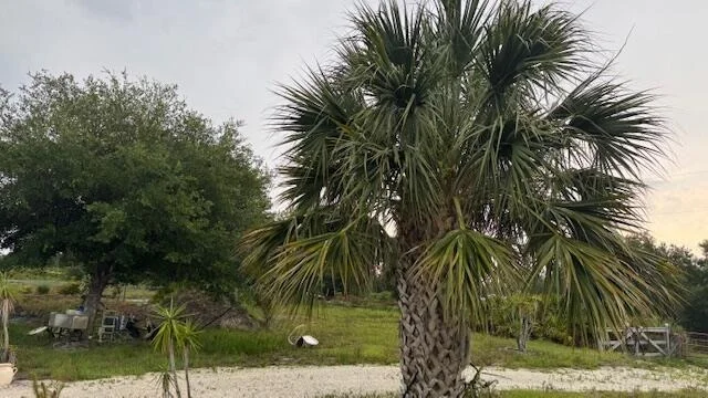 Photo of 15270 NW 252nd Street