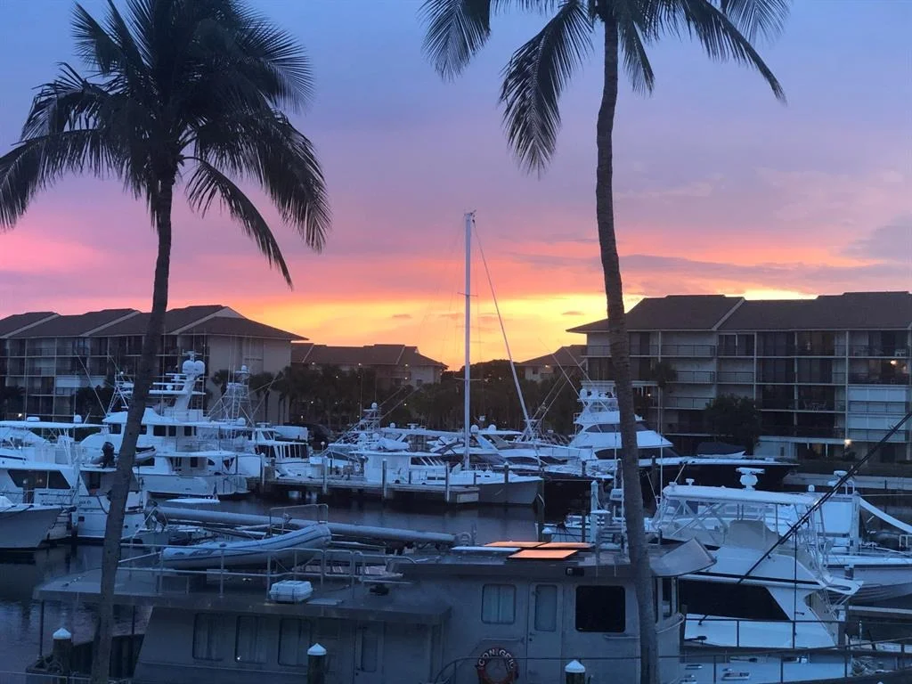 Photo of Unit 206 at 1401 Tidal Pointe Boulevard