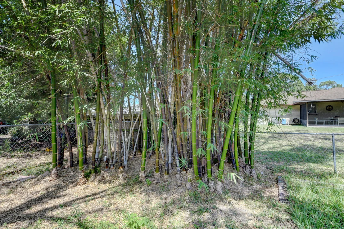 Photo of 5402 Palm Drive