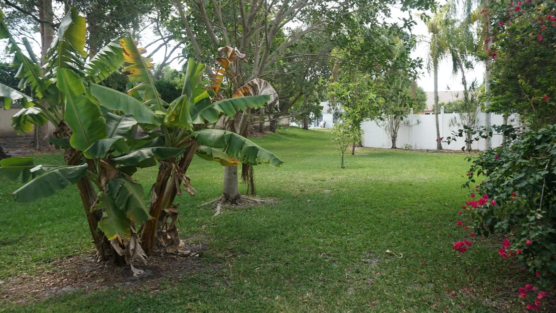 Photo of 8426 Dynasty Drive