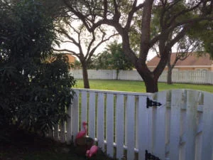 Photo of 6 Seaford Place