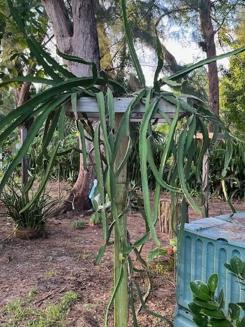 Photo of 6435 Boyd Lane
