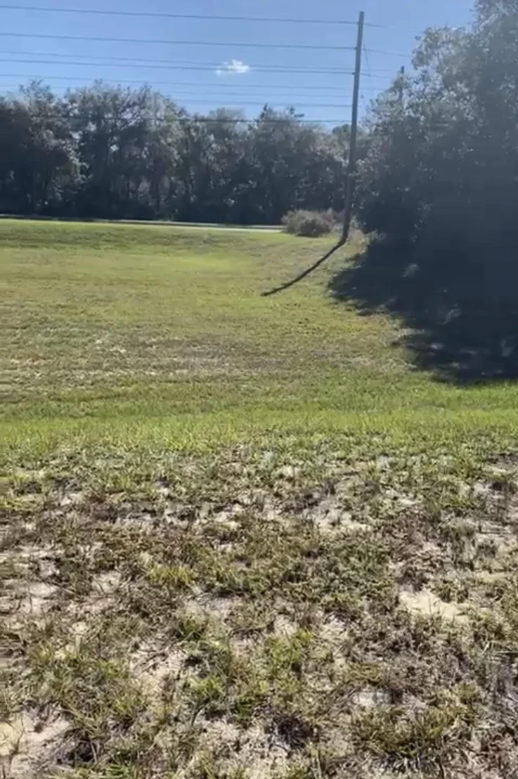 Photo of 4017 SW 133rd Loop