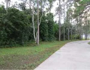 Photo of 12257 Sandy Run Road