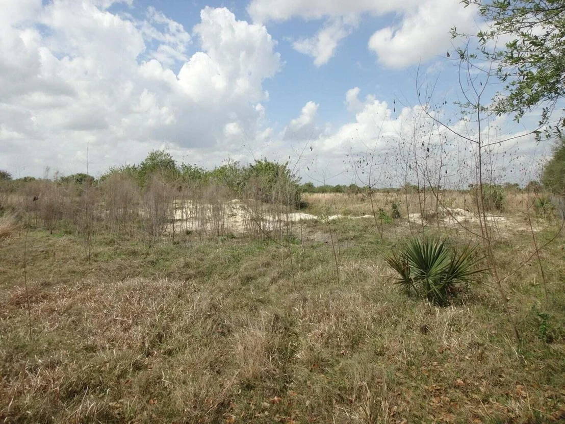 Photo of 2349 Cabbage Drive