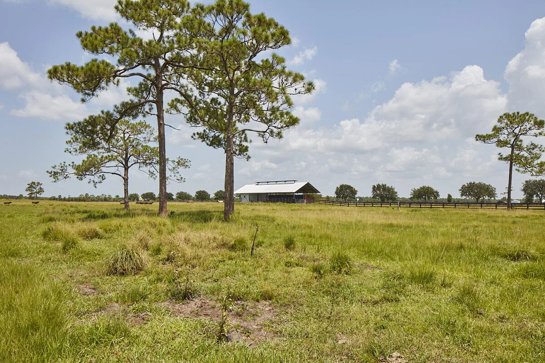 Photo of 25700 SW Brians Trail