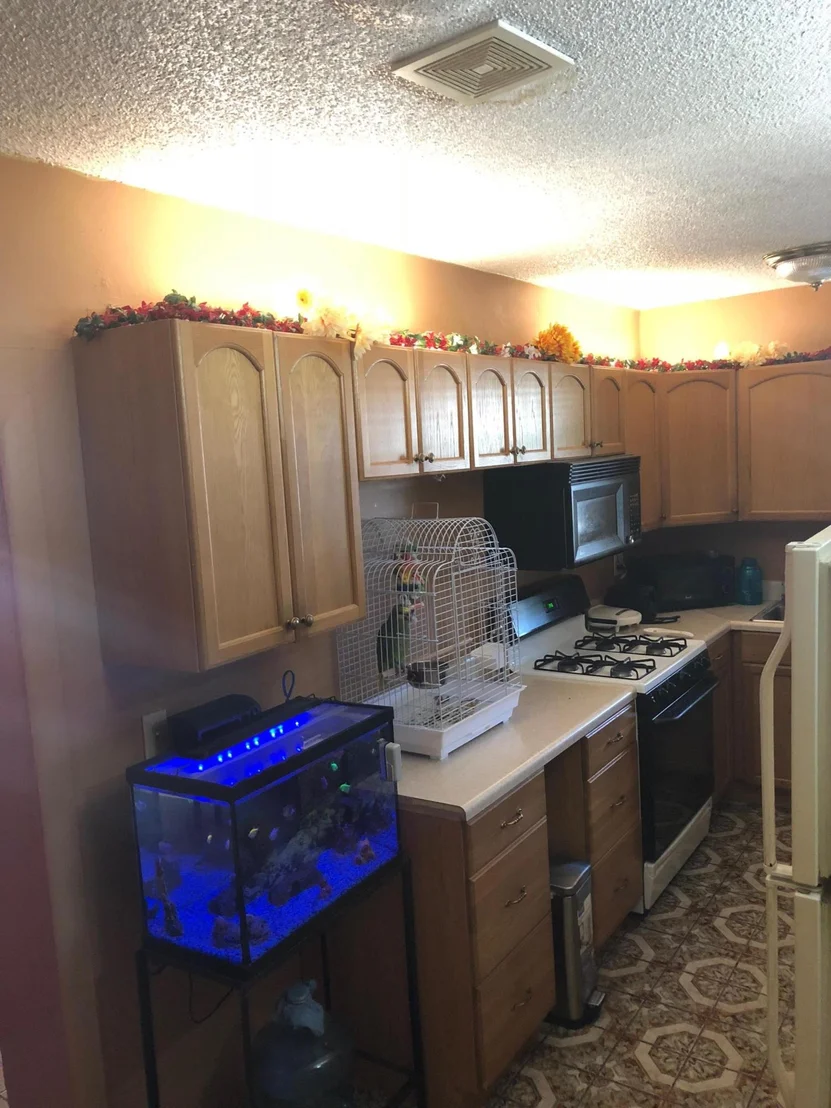 Photo of 39 Davis Road