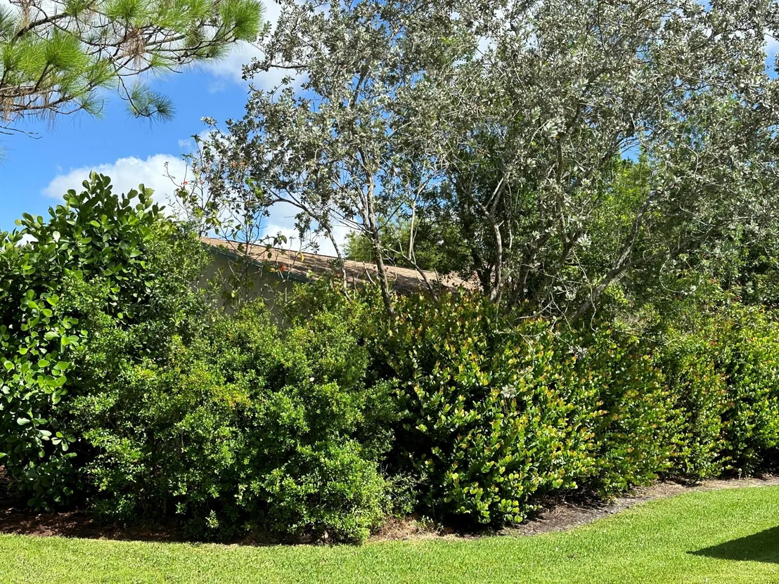 Photo of 44 W Cypress Road
