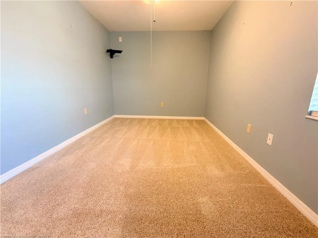 Photo of 1241 SHAMROCK Drive