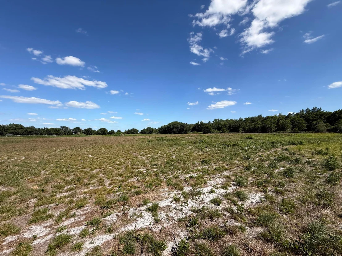 Photo of 2615 Bluff Hammock Road