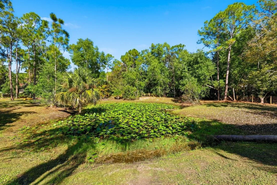 Photo of 10297 Sandy Run