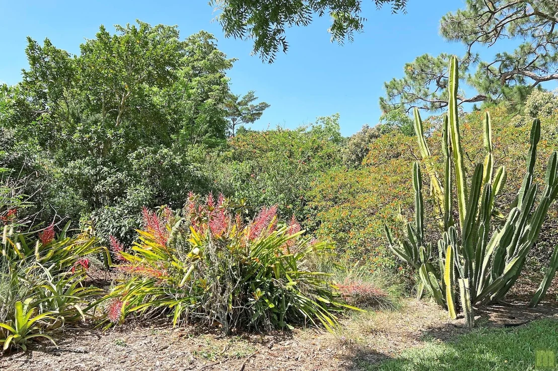 Photo of 4500 Cedar Hill Road