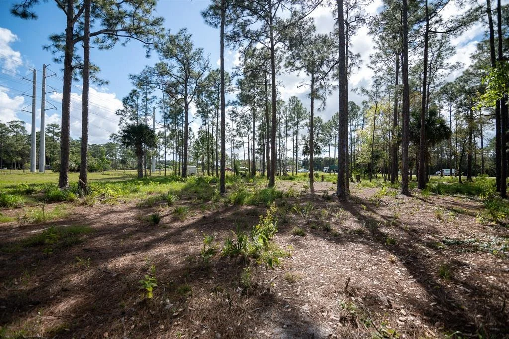 Photo of 14045 Orange Boulevard