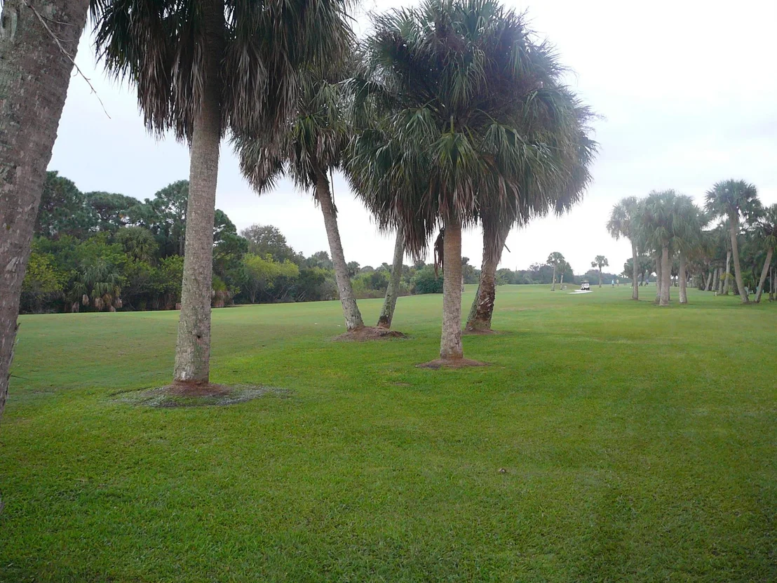 Photo of 4336 Gator Trace Circle