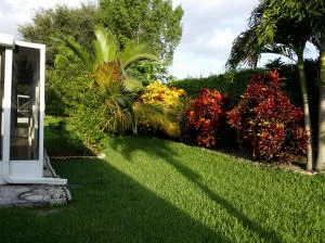 Photo of 12854 Hampton Lakes Circle