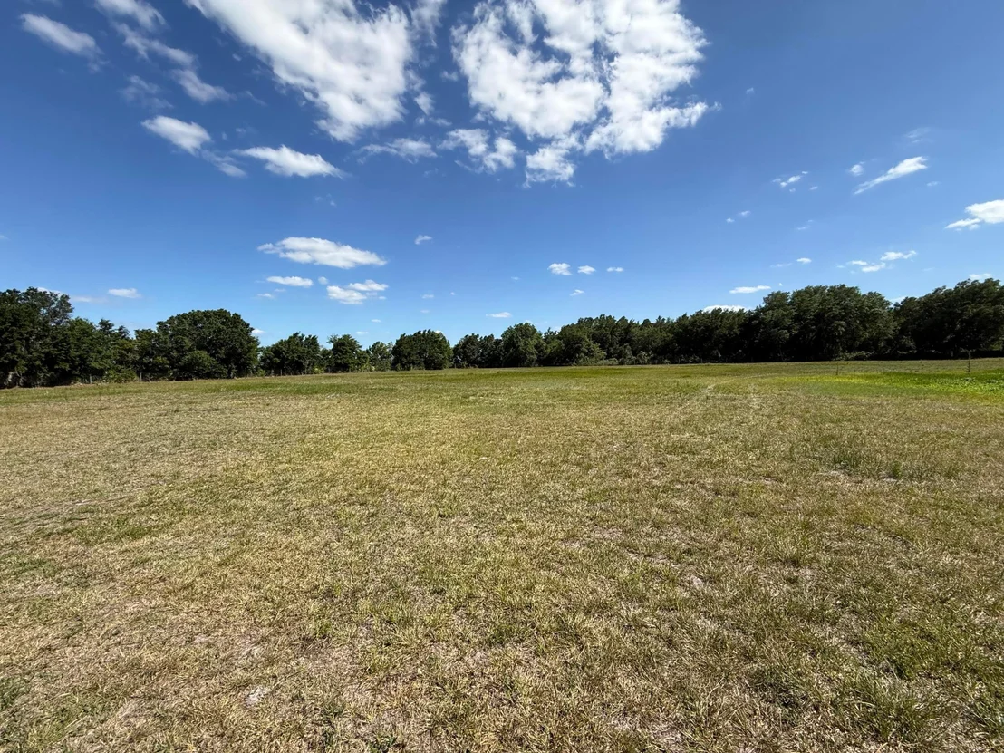 Photo of 2615 Bluff Hammock Road