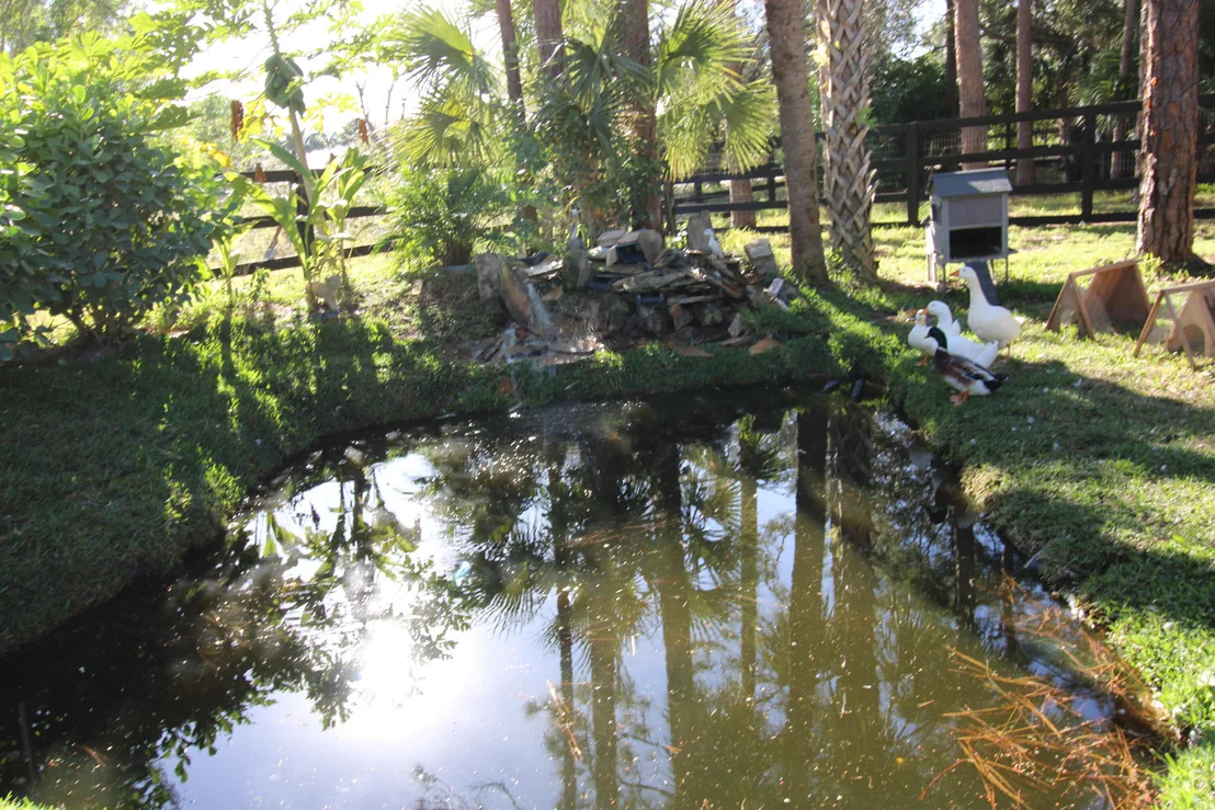 Photo of 930 RAMBLING DRIVE Circle