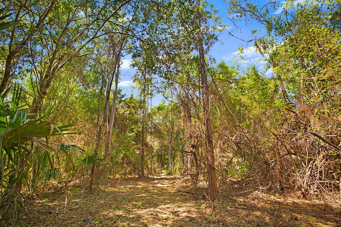 Photo of 3139 B Road