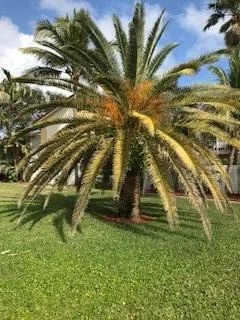 Photo of 252 Seabreeze Circle