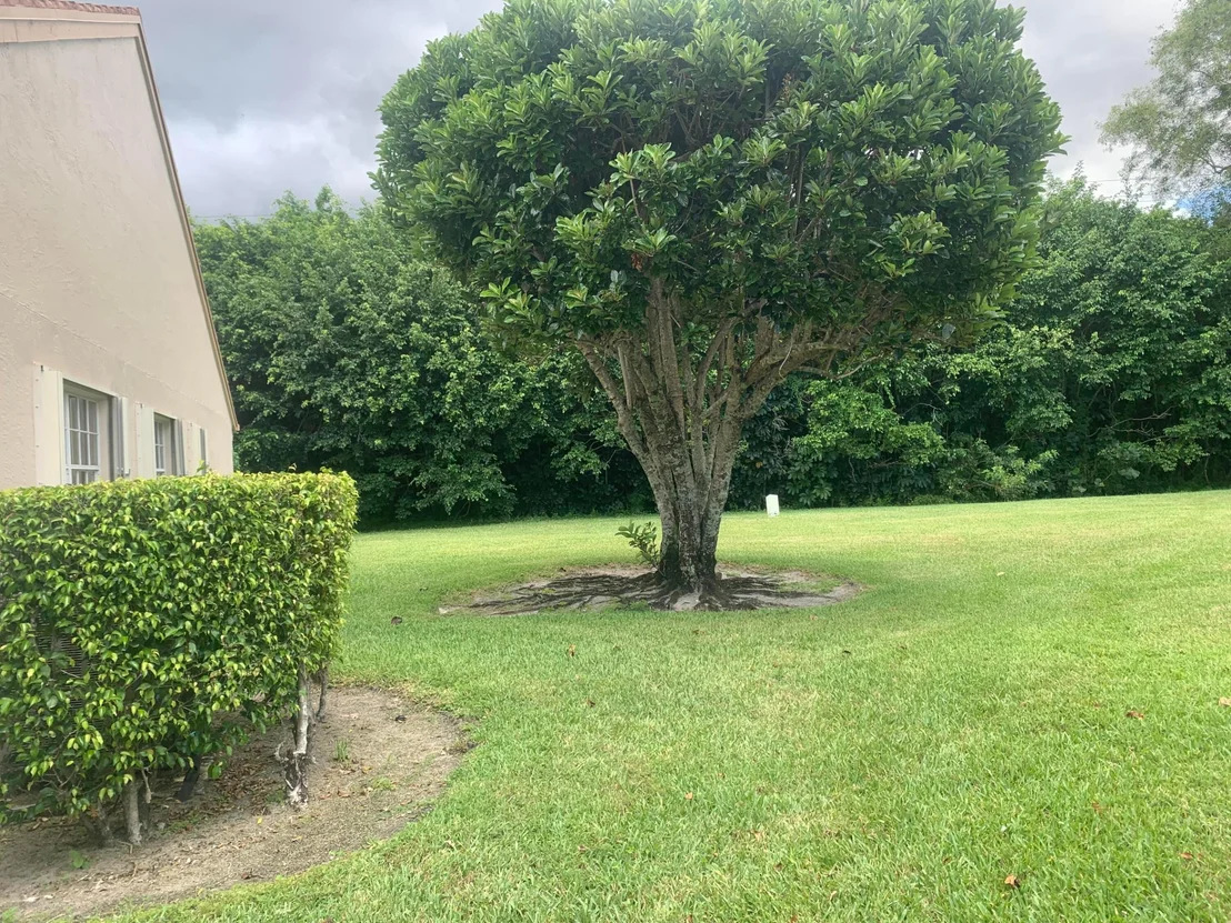 Photo of 14257 Ruby Pointe Drive