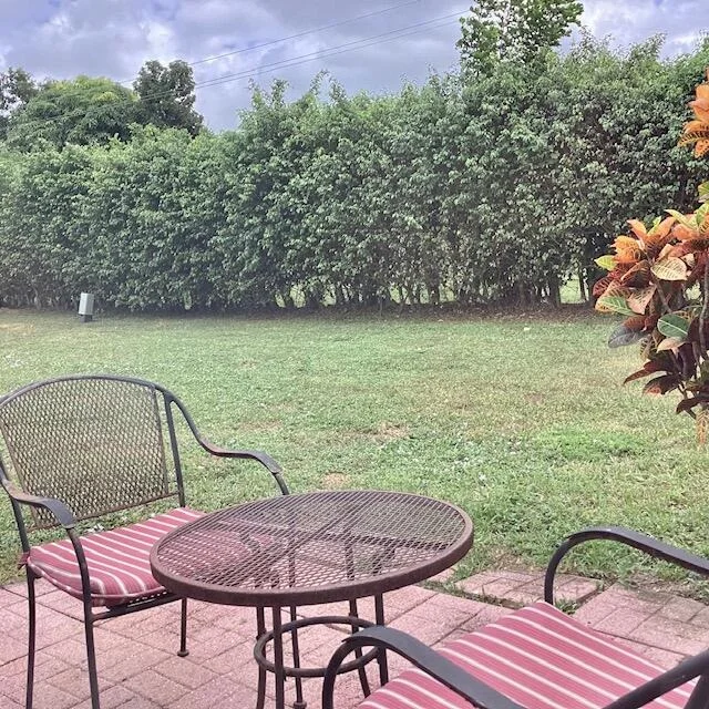 Photo of 14706 Lucy Drive